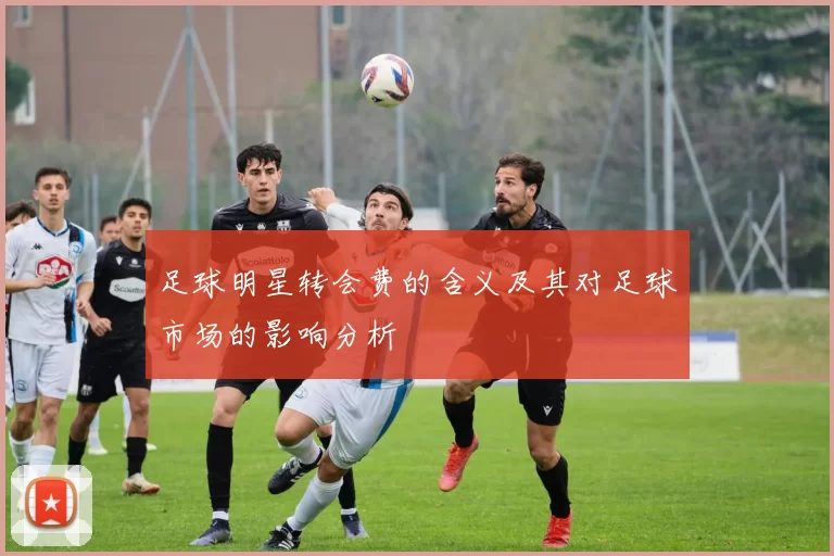 足球明星转会费的含义及其对足球市场的影响分析