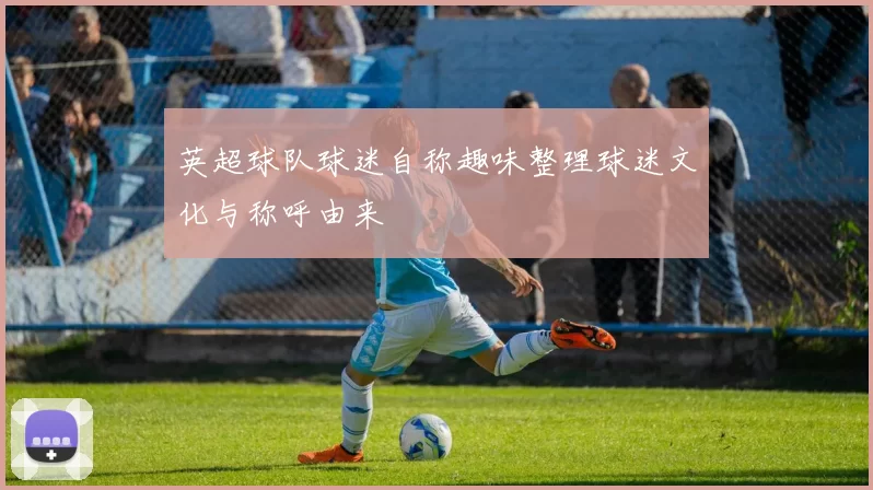 英超球队球迷自称趣味整理球迷文化与称呼由来