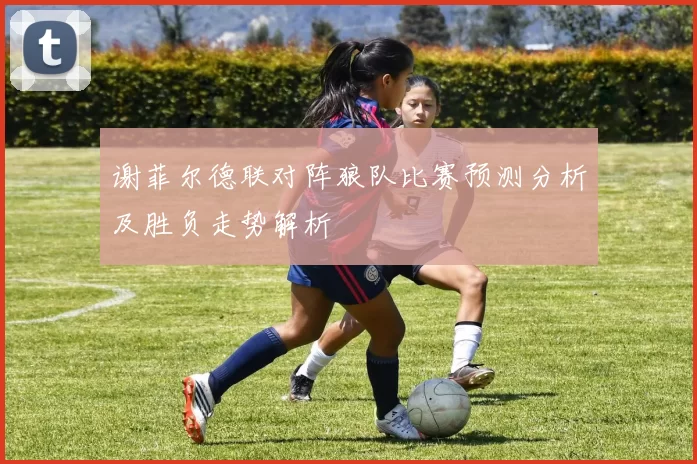 谢菲尔德联对阵狼队比赛预测分析及胜负走势解析