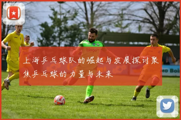 上海乒乓球队的崛起与发展探讨聚焦乒乓球的力量与未来