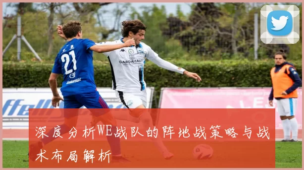 深度分析WE战队的阵地战策略与战术布局解析