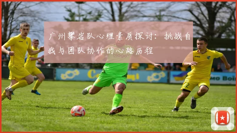 广州攀岩队心理素质探讨：挑战自我与团队协作的心路历程