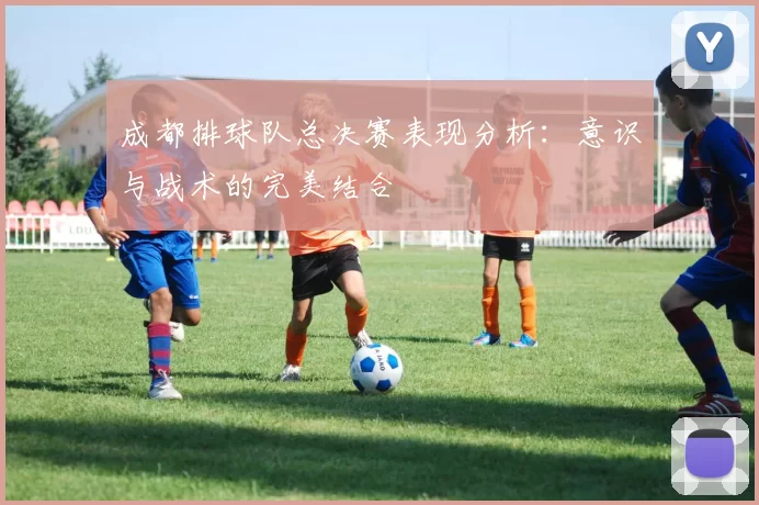 成都排球队总决赛表现分析：意识与战术的完美结合