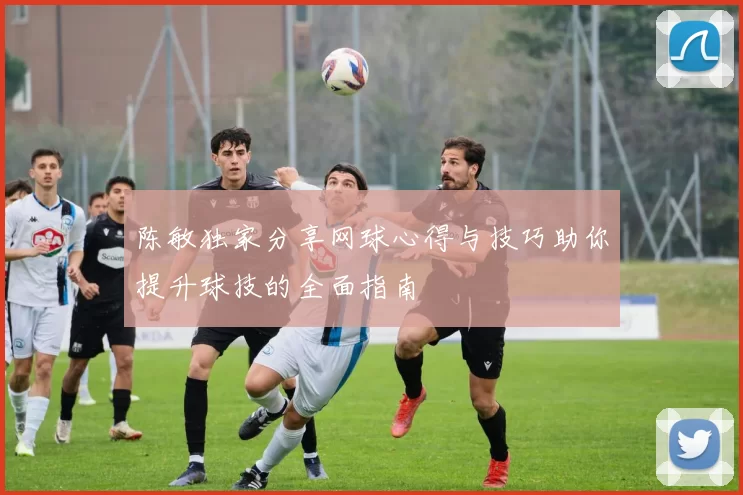 陈敏独家分享网球心得与技巧助你提升球技的全面指南