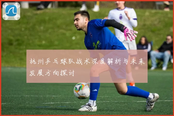 杭州乒乓球队战术深度解析与未来发展方向探讨
