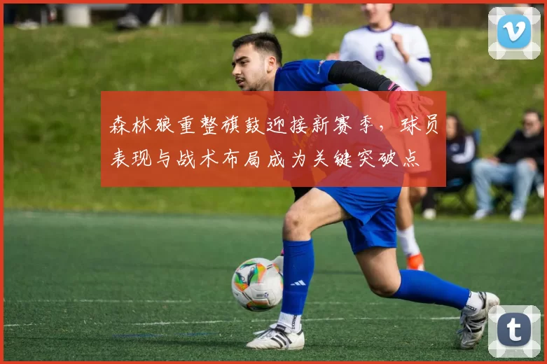 森林狼重整旗鼓迎接新赛季，球员表现与战术布局成为关键突破点