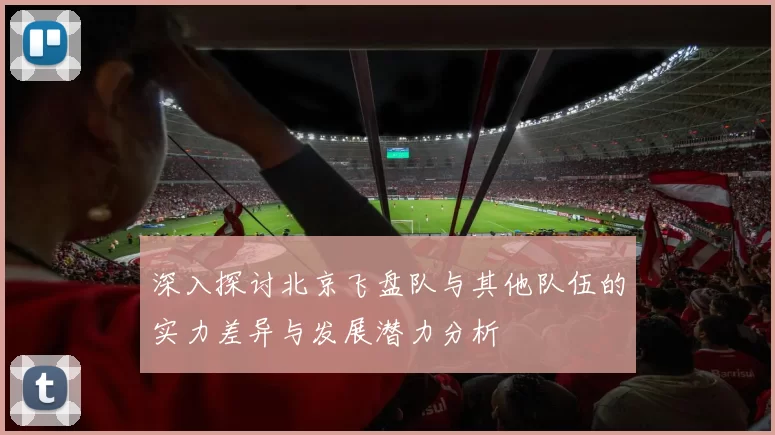 深入探讨北京飞盘队与其他队伍的实力差异与发展潜力分析