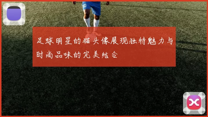 足球明星的猫头像展现独特魅力与时尚品味的完美结合