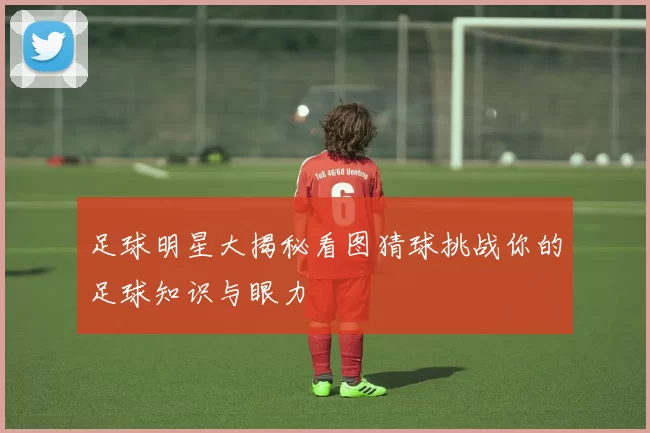 足球明星大揭秘看图猜球挑战你的足球知识与眼力