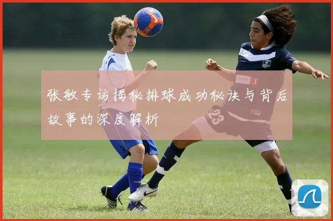 张敏专访揭秘排球成功秘诀与背后故事的深度解析