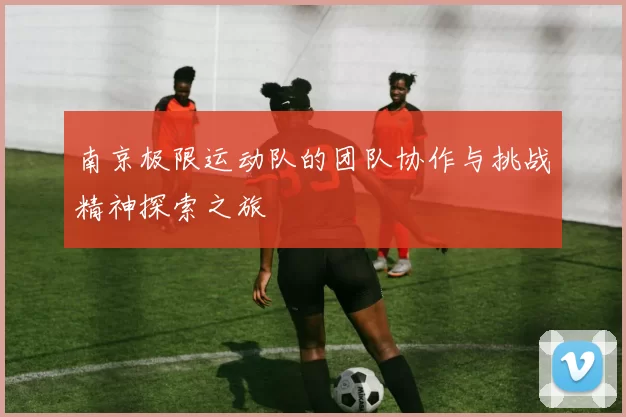 南京极限运动队的团队协作与挑战精神探索之旅