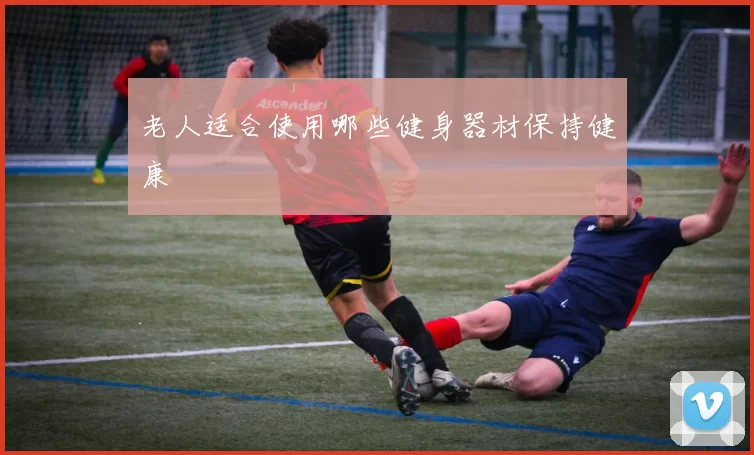 老人适合使用哪些健身器材保持健康