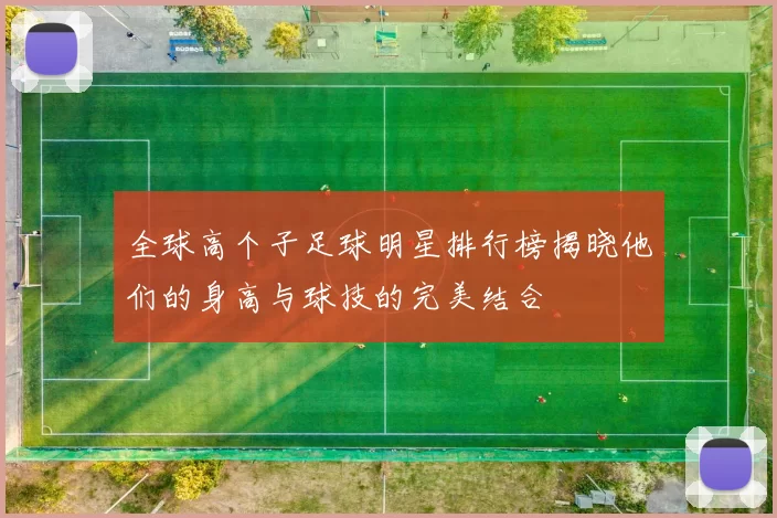 全球高个子足球明星排行榜揭晓他们的身高与球技的完美结合