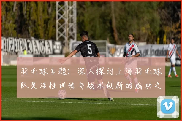 羽毛球专题：深入探讨上海羽毛球队灵活性训练与战术创新的成功之道