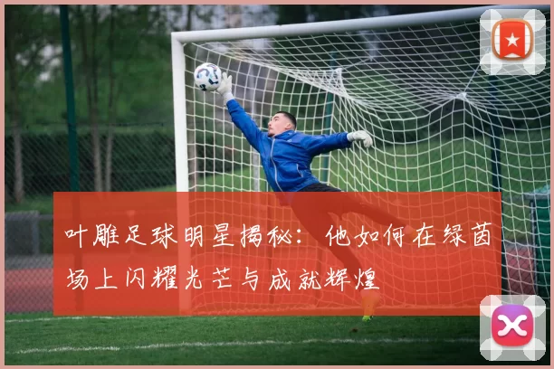 叶雕足球明星揭秘：他如何在绿茵场上闪耀光芒与成就辉煌